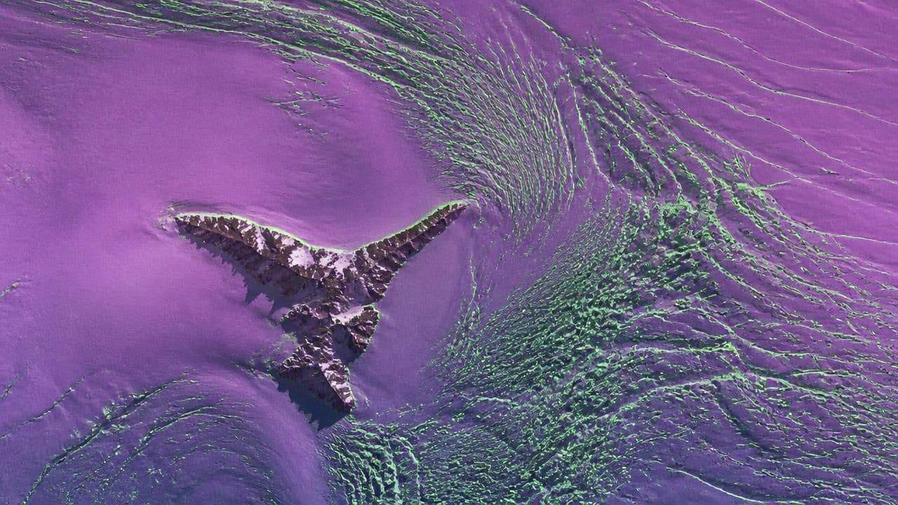 NISAR Satellite Reveals 'Hummingbird' in Antarctica, Marks New Era in Earth Science