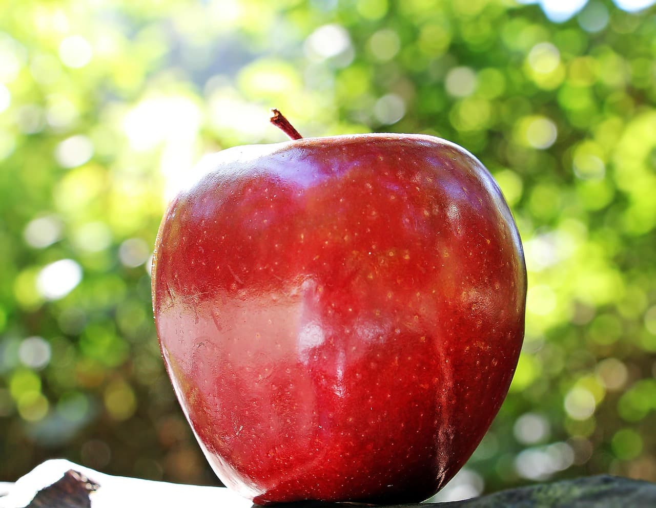 Apple vs. Prosser: YouTuber Blames Co-Defendant in iOS Leak Lawsuit