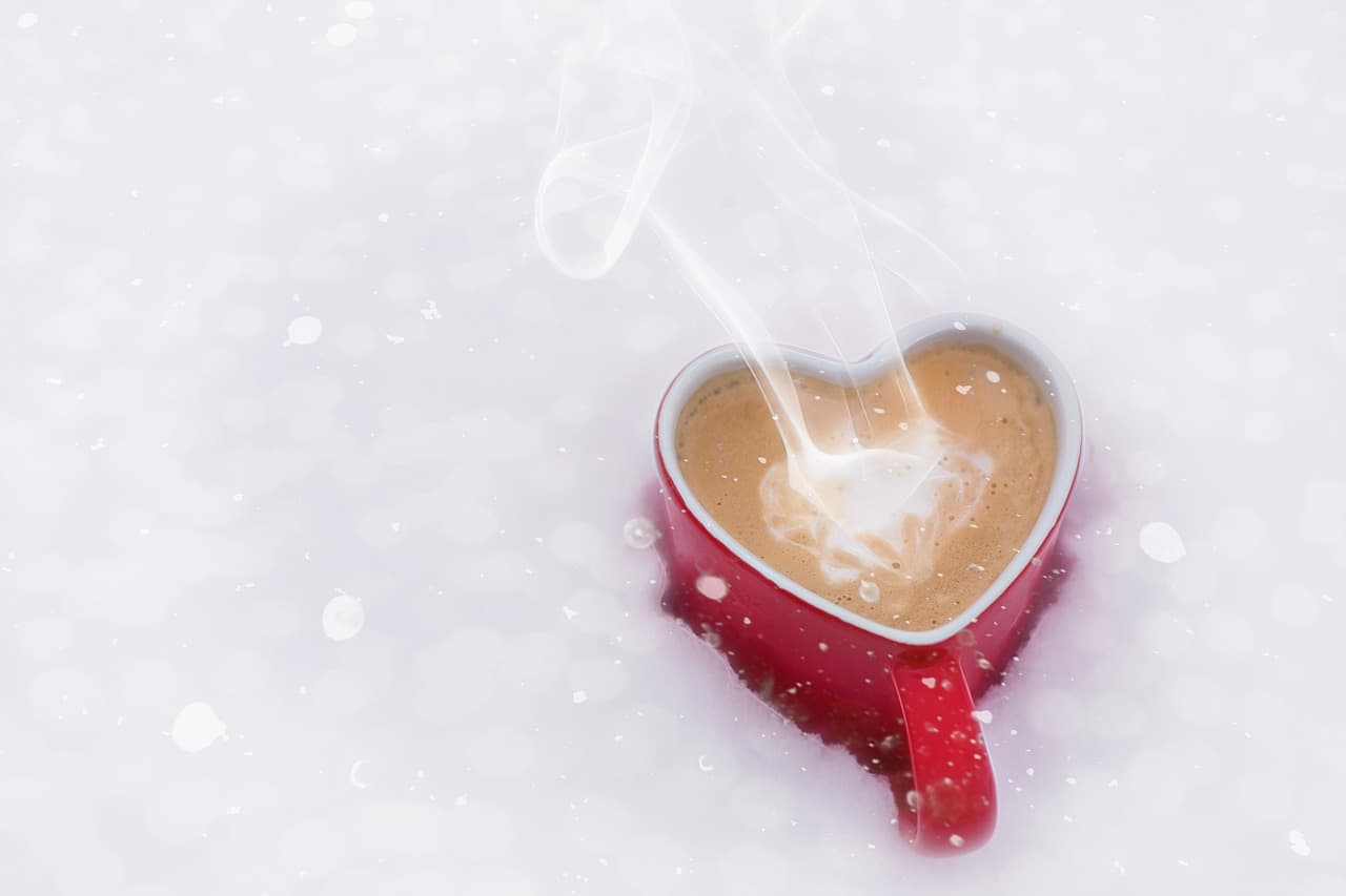 Coffee, Revolution, and Resilience: The Stories That Shaped America