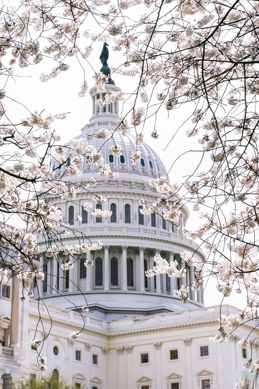 Graham Platner Ends Senate Bid Amid Rape Allegation; Nolan Wells Death Gains National Attention