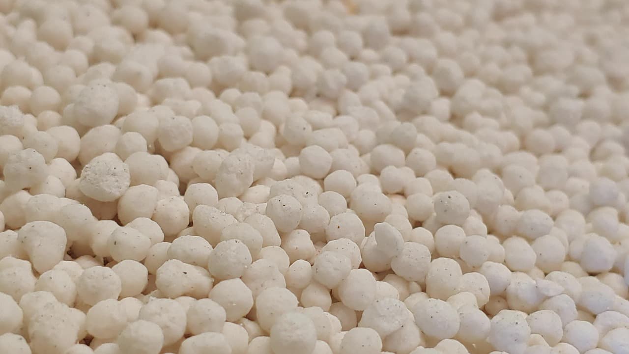 Iran War Disrupts Fertilizer Supply, Threatening Global Food Prices