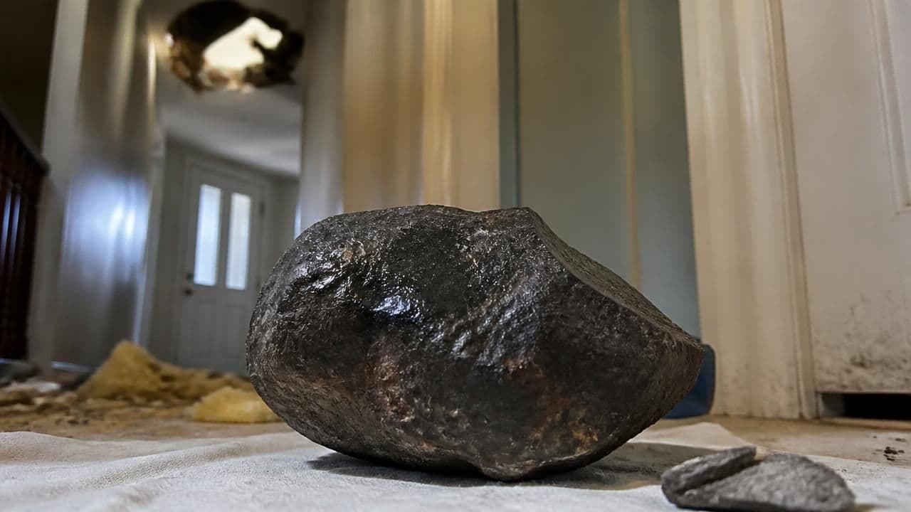 Meteorite that Touched Down in New Jersey Holds Clues to Life's Origins