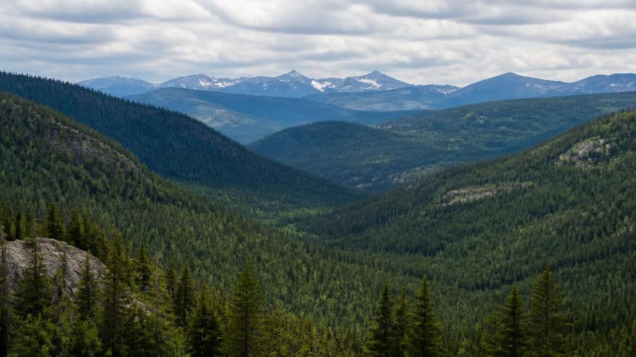 Trump Administration Moves to Dismantle Roadless Rule, Threatening Millions of Forest Acres