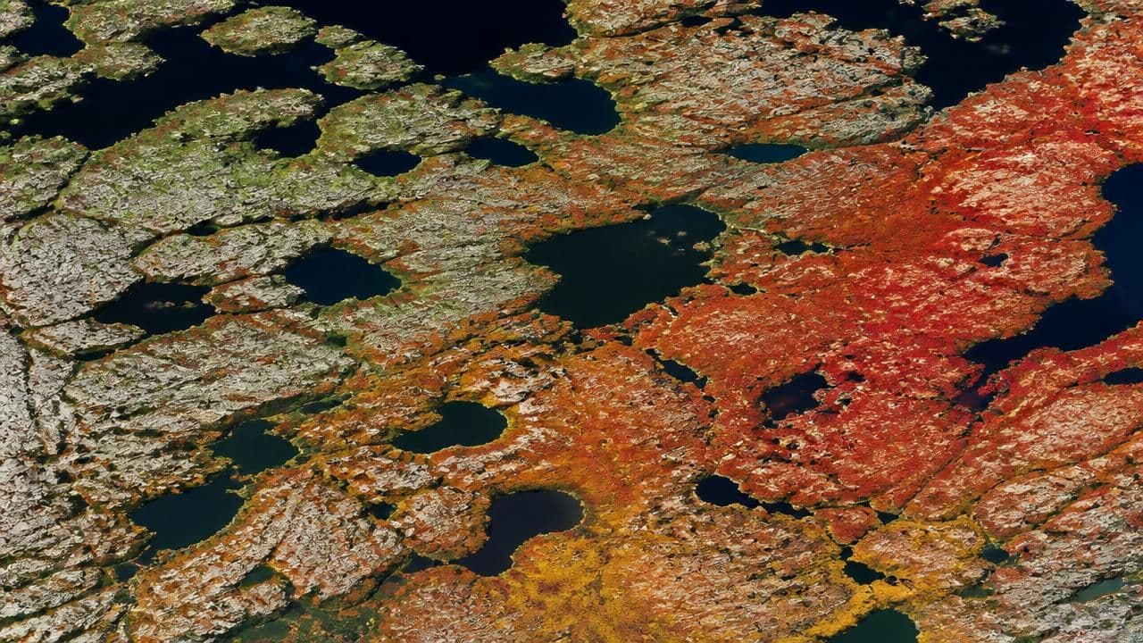Satellites Capture Early Fall Color in Canada's Arctic as Forecasters Weigh Autumn Vibrancy