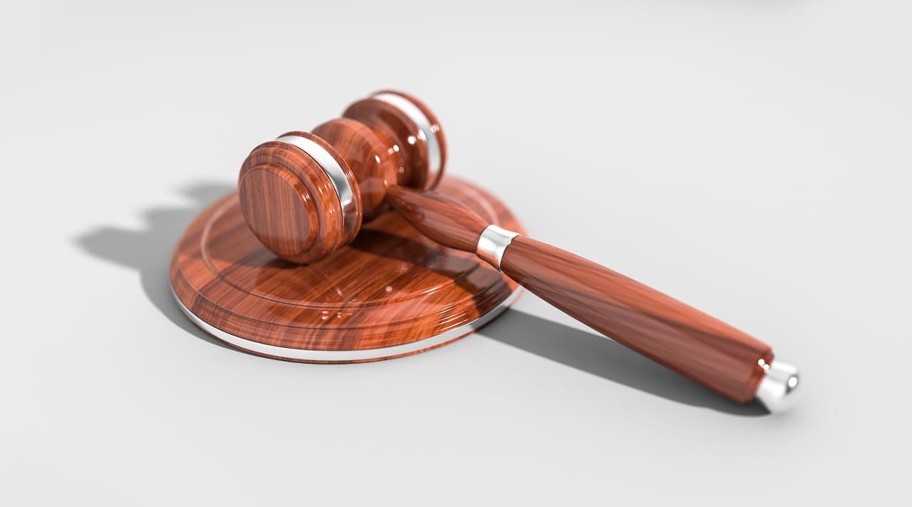 Judge Limits Candace Owens's Liability in Macron Defamation Case